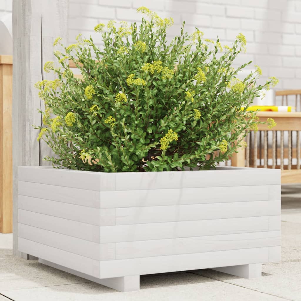vidaXL Záhradný kvetináč biely 50x50x26,5 cm masívna borovica