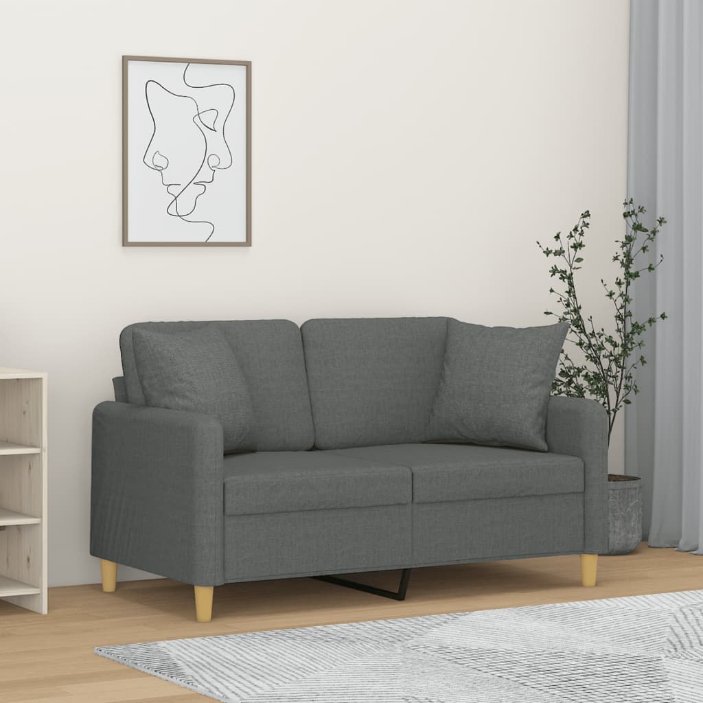 vidaXL 2-miestna pohovka s vankúšmi tmavosivá 120 cm látka