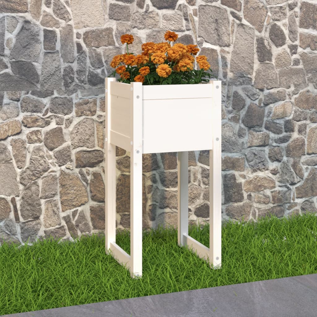 vidaXL Kvetináč biely 40x40x81 cm borovicový masív