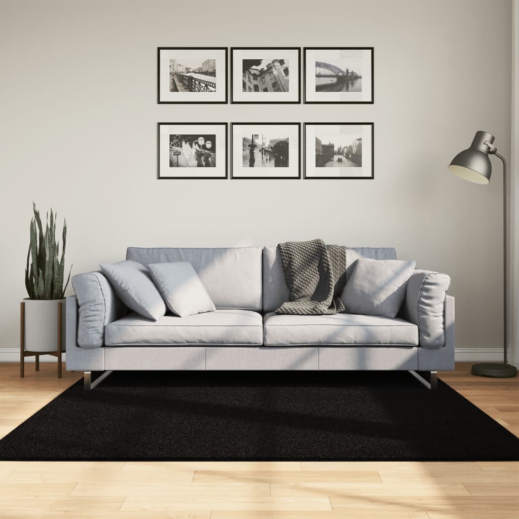vidaXL Koberec HUARTE s krátkym vlakom umývateľný čierny 160x160 cm