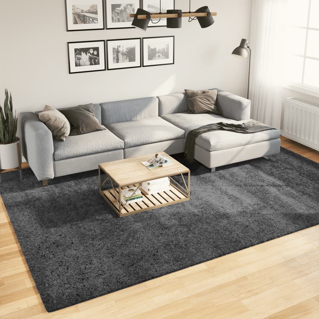 vidaXL Koberec OVIEDO krátky vlas antracitový 240x340 cm