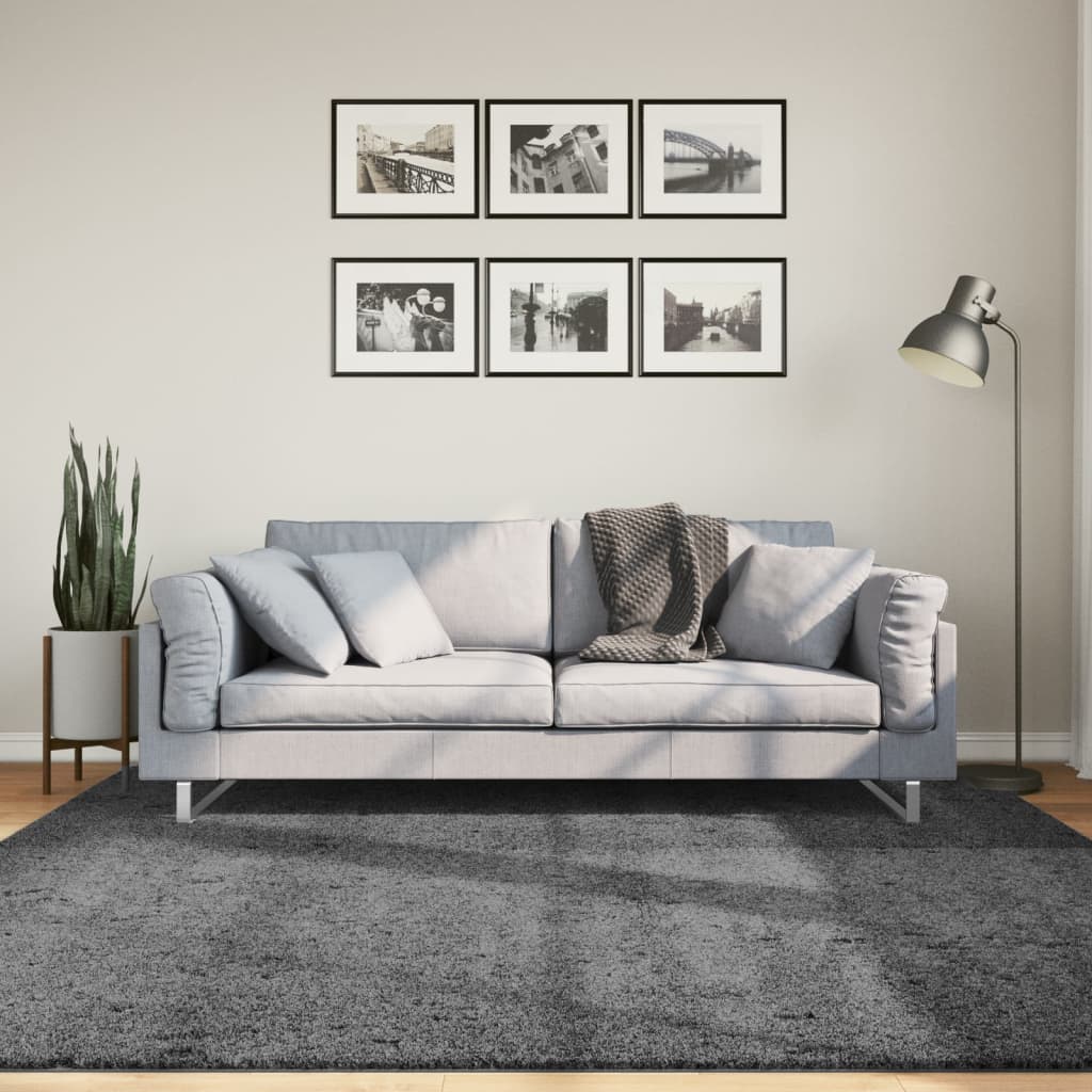 vidaXL Koberec OVIEDO, krátky vlas, antracitový 200x200 cm