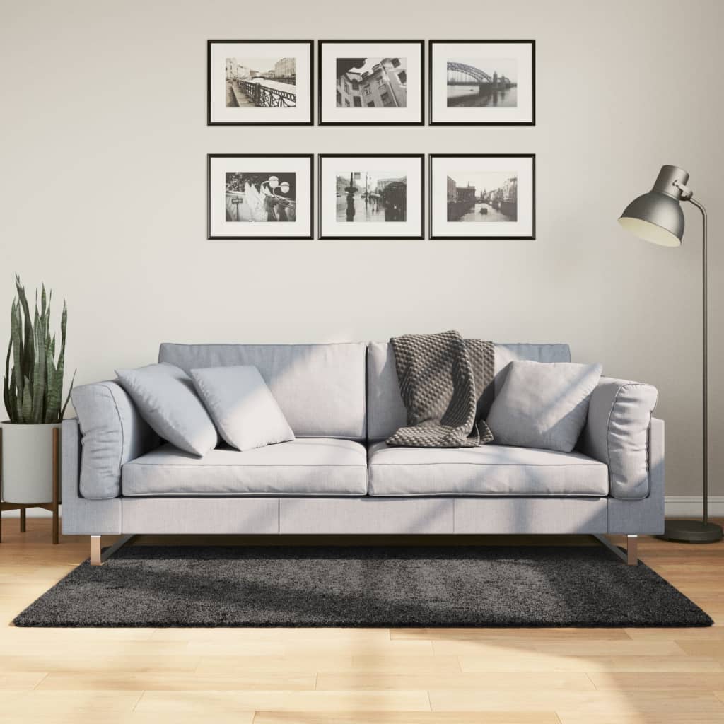 E-shop vidaXL Shaggy koberec PAMPLONA, vysoký vlas moderný antracit 120x170cm