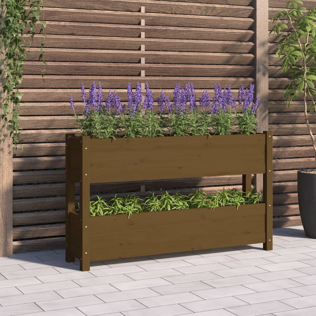 vidaXL Kvetináč medovohnedý 112x25x66 cm borovicový masív