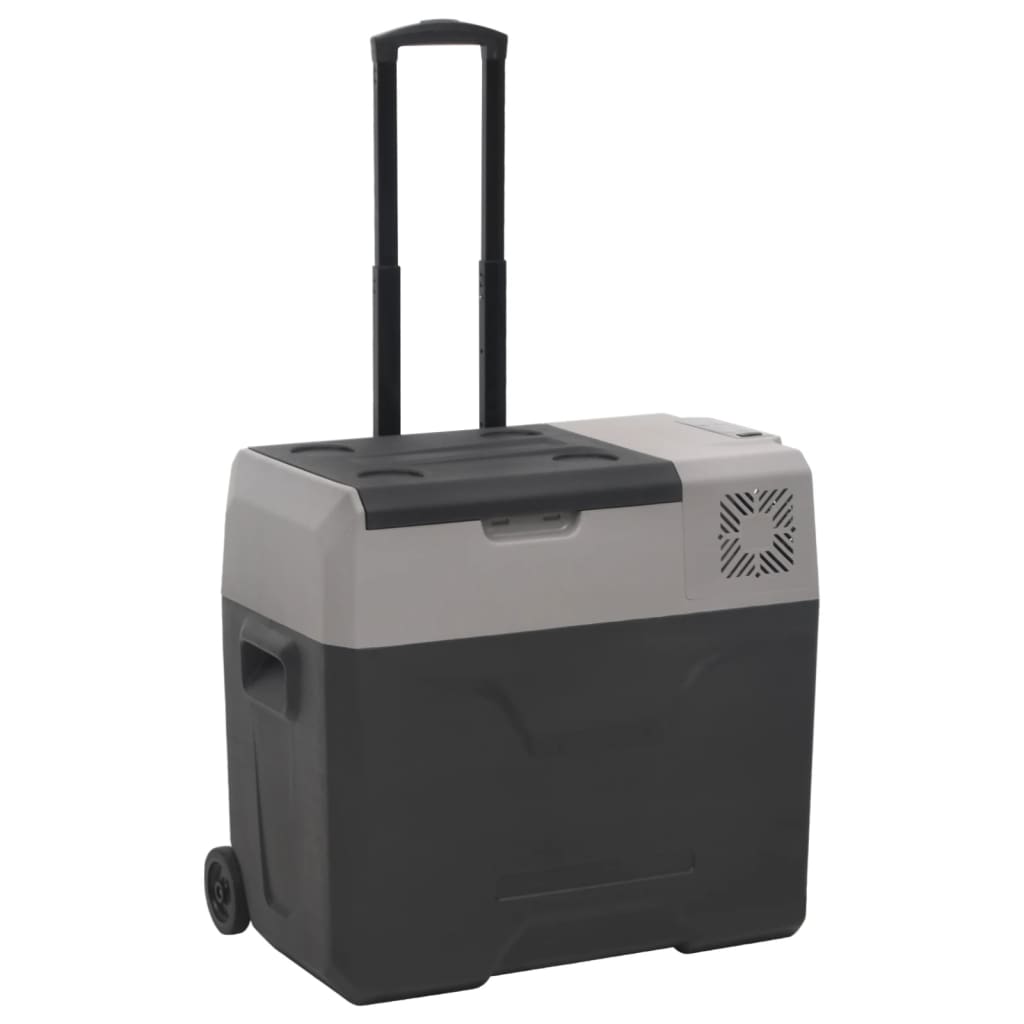 vidaXL Chladiaci box s kolieskom a rukoväťou čierno-sivý 36 l PP