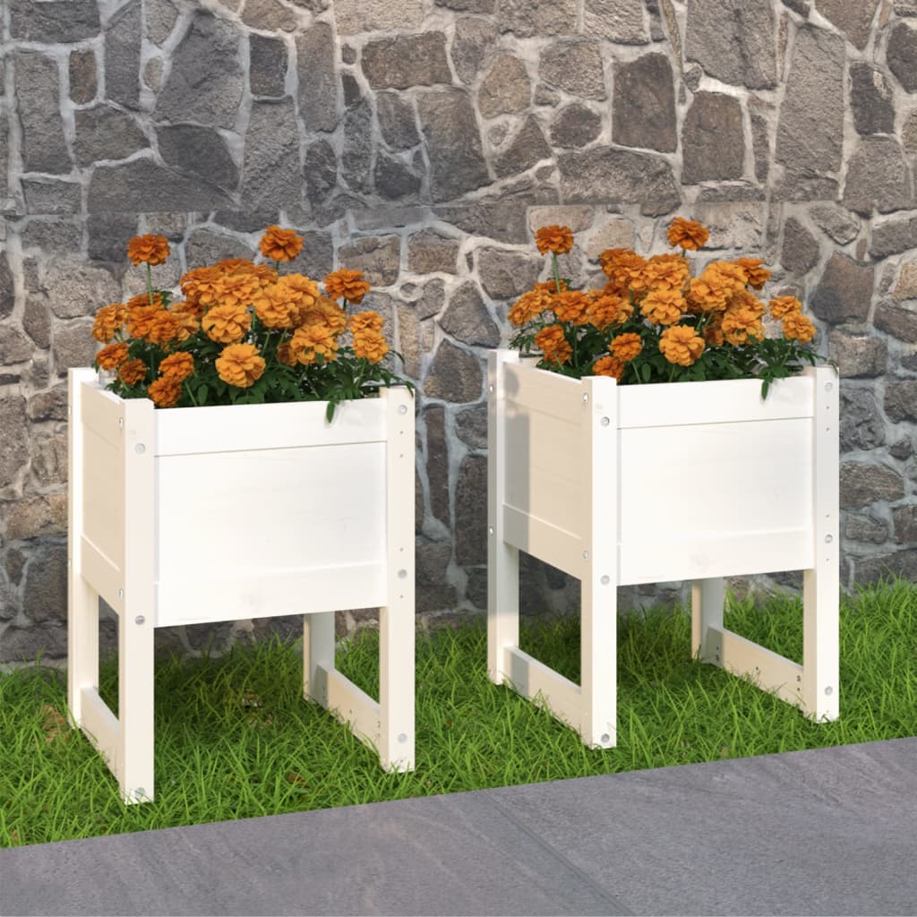 VidaXL Kvetináče 2 ks biele 40x40x52,5 cm masívna borovica