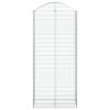 vidaXL Oblúkový gabionový kôš 100x50x220/240 cm pozinkované železo
