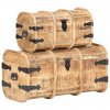 vidaXL Skladovacie truhlice 2 kusy masívne mangovníkové drevo