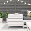 vidaXL Záhradná taburetka biela 62x63,5x53,5 cm borovicový masív