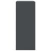 vidaXL Vysoká skrinka antracitová 67x39x95 cm oceľová