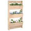 vidaXL Nástenný kvetináč 3-poschodový 60x18,5x110 cm masívna borovica