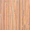 vidaXL Bambusový plot 100x400 cm