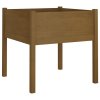 vidaXL Záhradné kvetináče 2 ks medovo-hnedé 70x70x70 cm borovicový masív