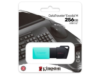 Kingston KINGSTON DataTraveler EXODIA M, 256GB, blk/tea