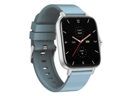 Maxcom MAXCOM FW55 Aurum Pro, Smarthodinky, Silver