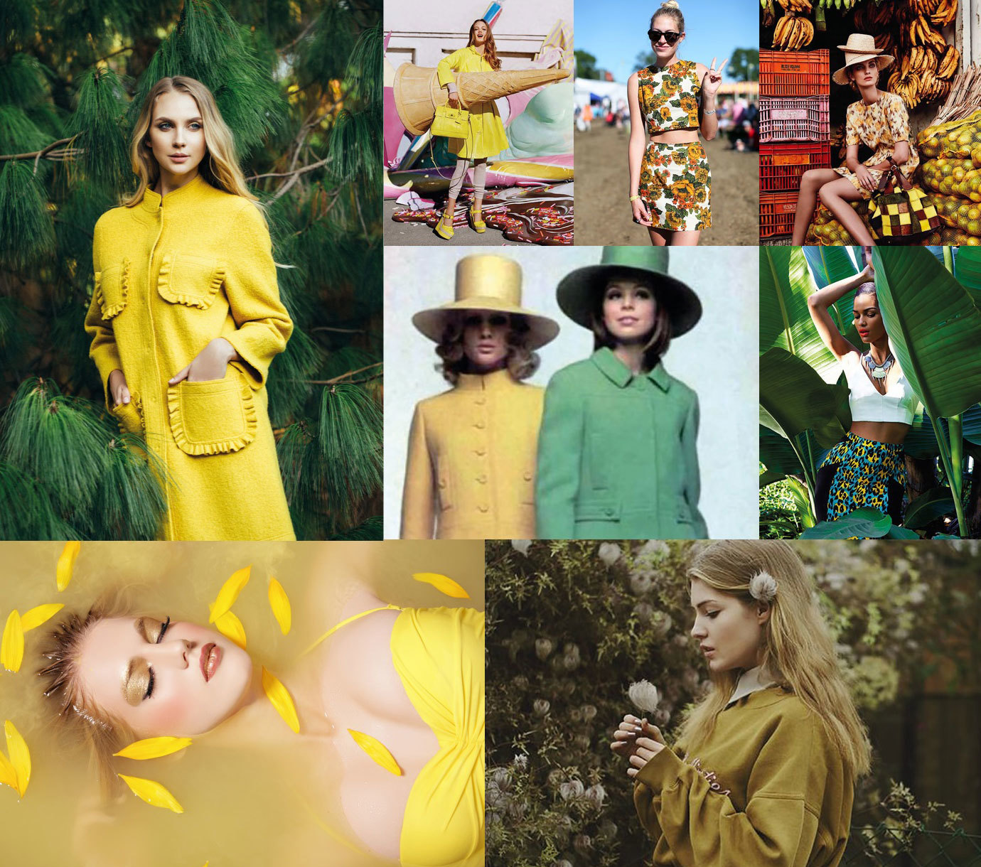 flamboyant-yellow-inspiration