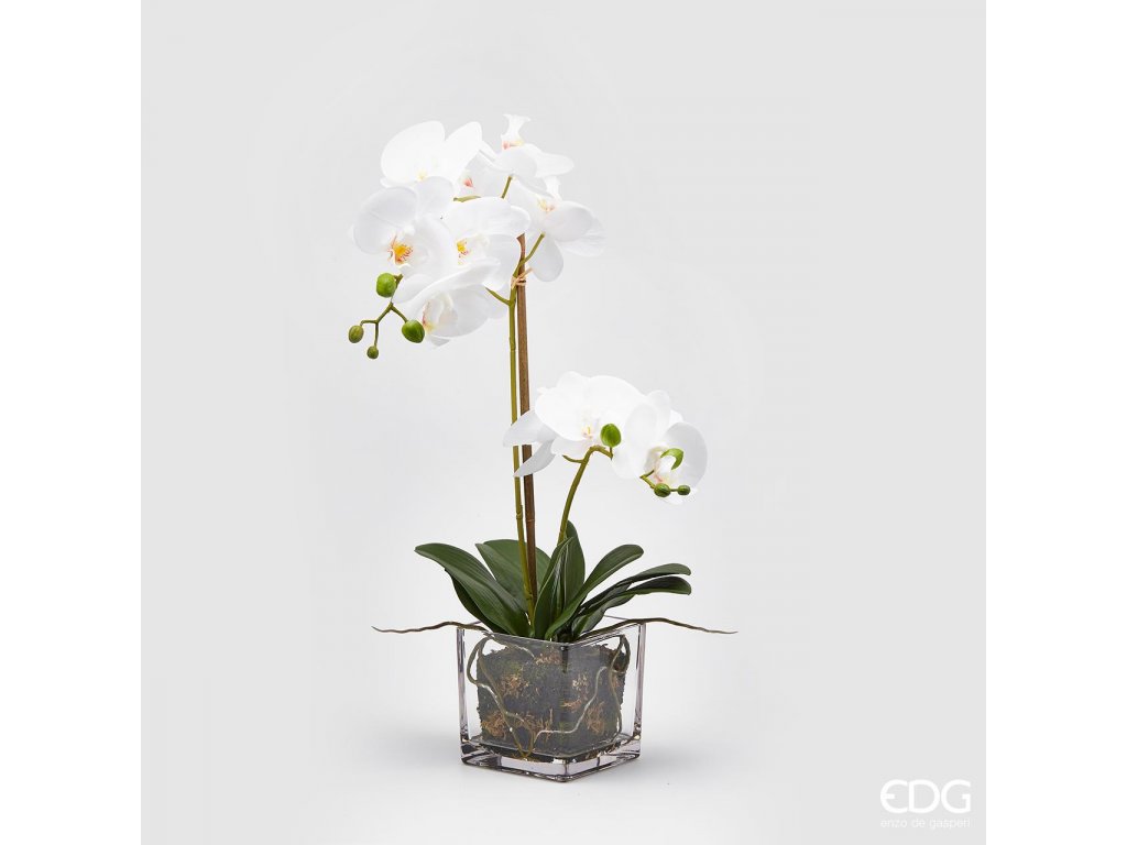Bílá orchidej ve skleněné váze EDG 59cm - LaConception