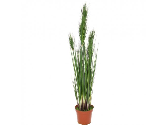 Cibulová tráva, trsnatá, umělá květina, Fleur Ami