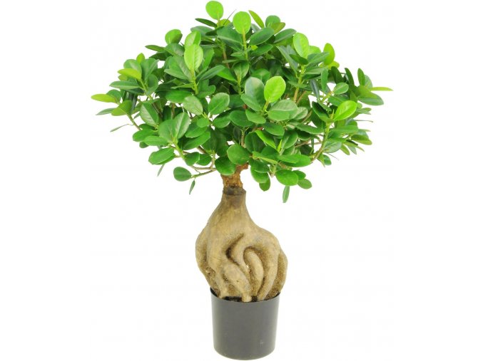21701 ficus panda bonsai kunstpflanze 01