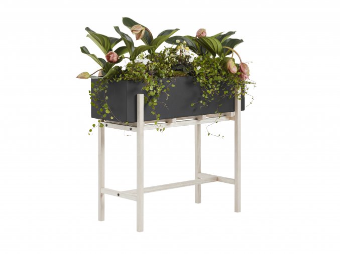 designový květinový zásobník, truhlík, Botanic, Design House Stockholm