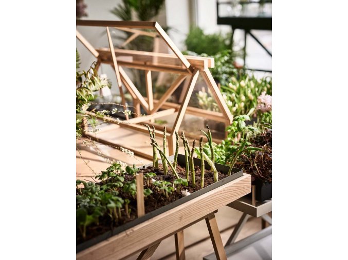 skleník, dub, Design House Stockholm