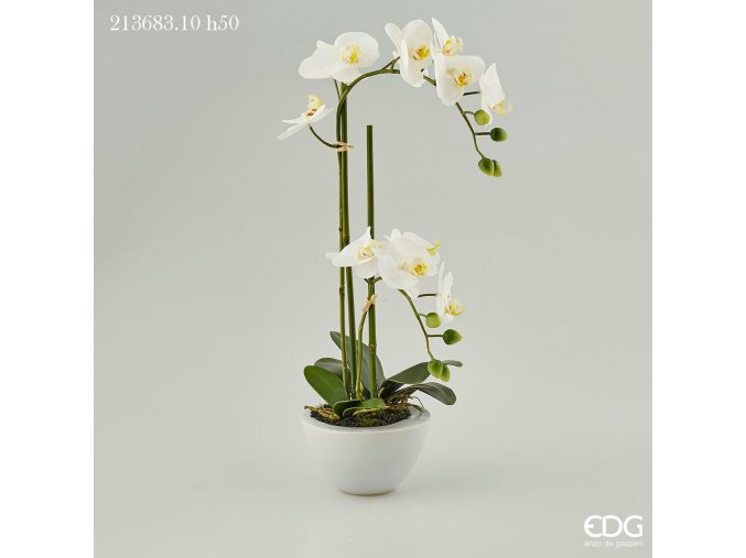 Bílá umělá orchidej ve váze EDG H50