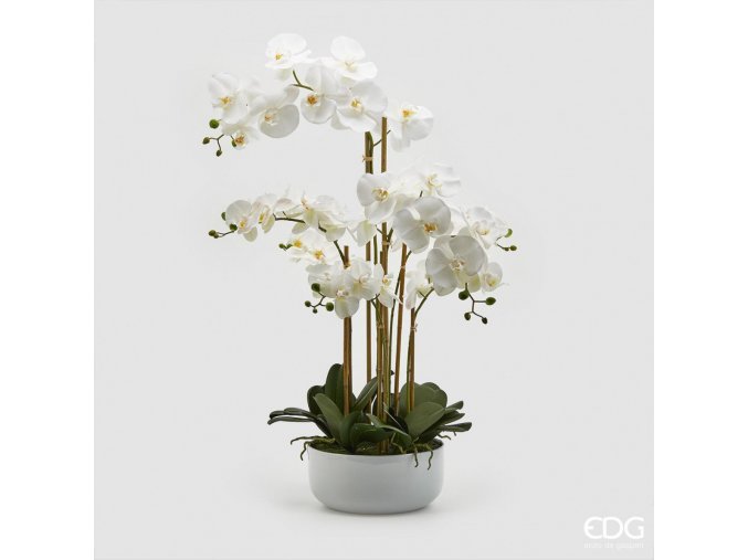 umělá orchidej phalenopsis