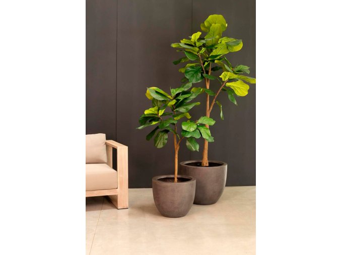 Ficus lyrata, houslový fíkus, umělá květina, Fleur Ami