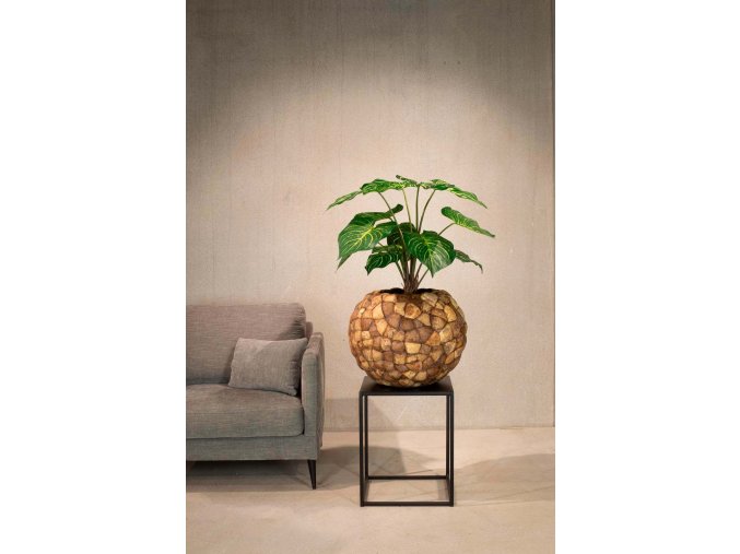 Kalatea, Calathea, Košíková maranta, umělá květina, Fleur Ami