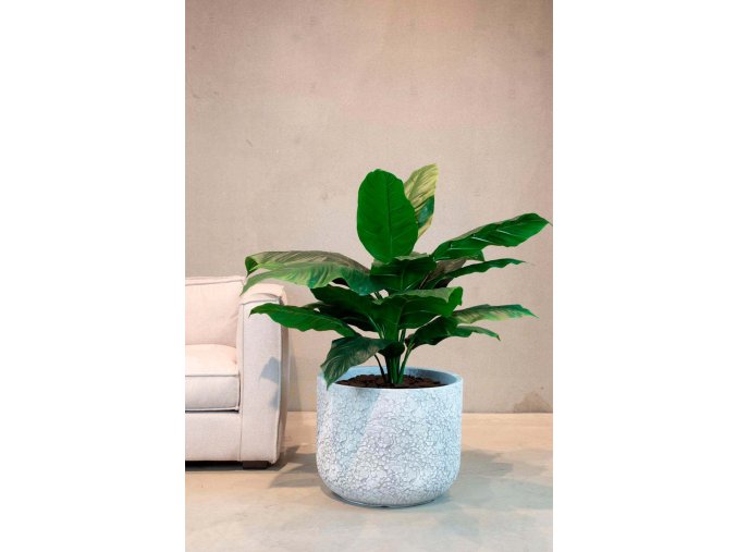 Spathiphyllum, umělá rostlina, Fleur Ami