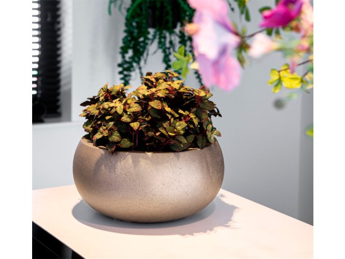 champagne, květináč Grigio, Metallic Low Balloon Champagne, Luca Lifestyle