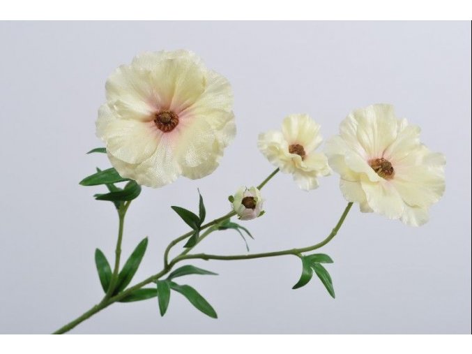 Ranunculus - pryskyřník SILK-KA - růžovo žlutý - 56 cm