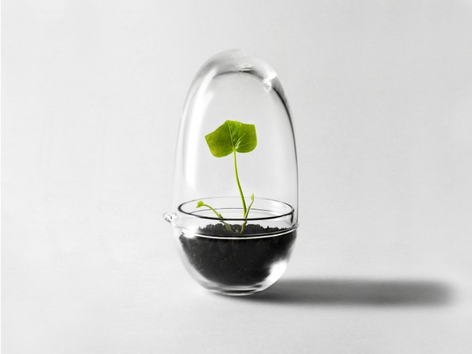 Mini skleník Grow