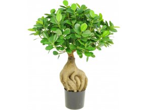 21701 ficus panda bonsai kunstpflanze 01