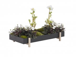 designový květinový zásobník Botanic Tray