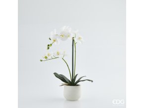 Bílá umělá orchidej ve vázičce EDG H53