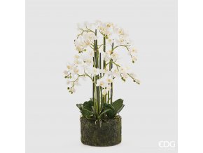 Bílá umělá orchidej Phalaenopsis s mechem 90cm
