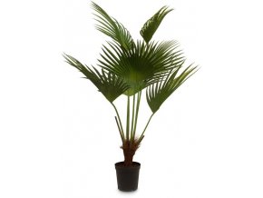 umělá květina Fan Palm