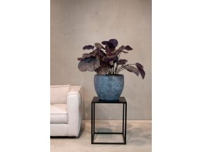 Designová hedvábná kalatea, Maranta, umělá květina, Fleur Ami
