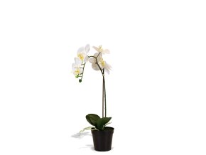 Umělé květiny, orchidej, Fleur Ami