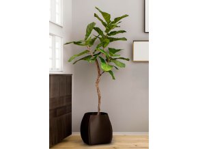 Ficus Lyrata, houslový fíkus, umělá květina, Fleur Ami