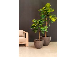 Ficus lyrata, houslový fíkus, umělá květina, Fleur Ami