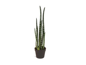 Sansevieria cylindrica, válcovité konopí, umělá květina, rostlina, Fleur Ami