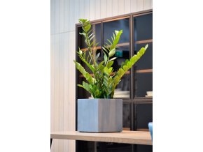 šedá, květináč, Argento Cube Natural Grey, Luca Lifestyle