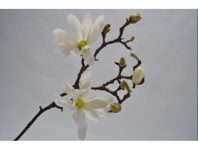 Magnolie SILK-KA - bílá - 66 cm