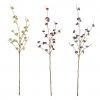 Callicarpa Sia Home Fashion