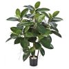 20288 ficus elastica 090 001