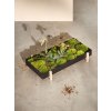 designový květinový zásobník Botanic Tray