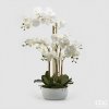 umělá orchidej phalenopsis