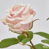 Růže Elix Rex Ramo H48 LT. Pink